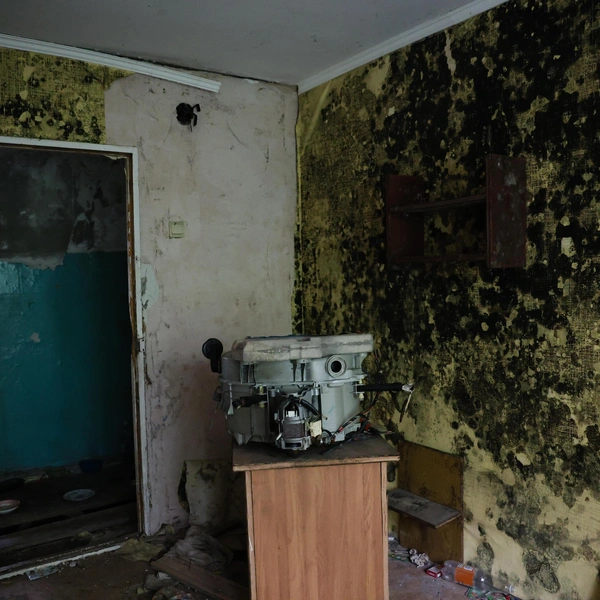 Черная плесень на стенах образует некое подобие карты | Источник: Евгений Софийчук / NGS55.RU