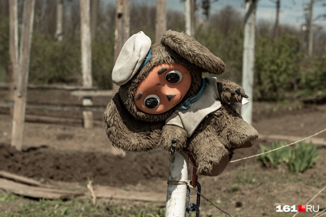 С мужчинами нужно работать, считает министр | Источник: Евгений Вдовин / 161.RU