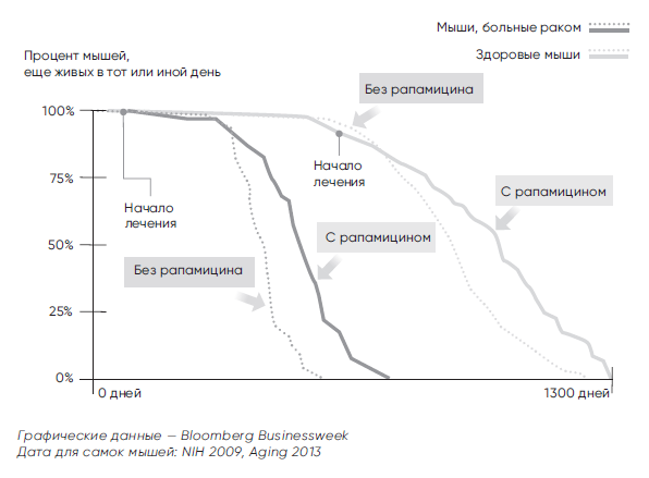 Противоядие против старения: как работает рапамицин