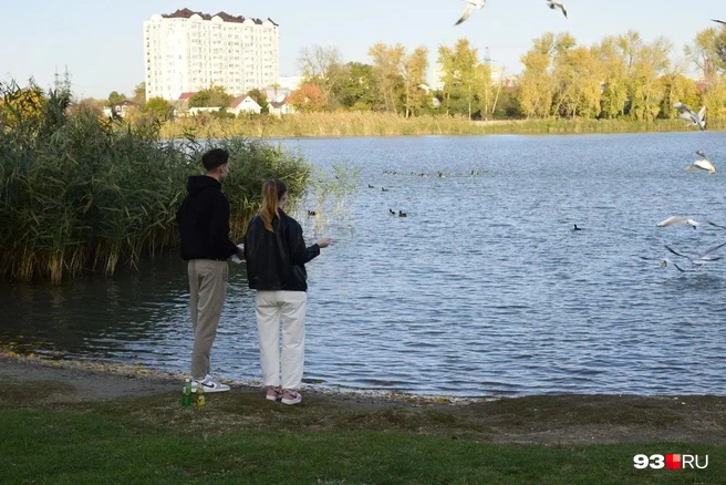 В парке даже есть пляж, но в теплое время года купаться там запрещено | Источник: Екатерина Подымова / 93.RU