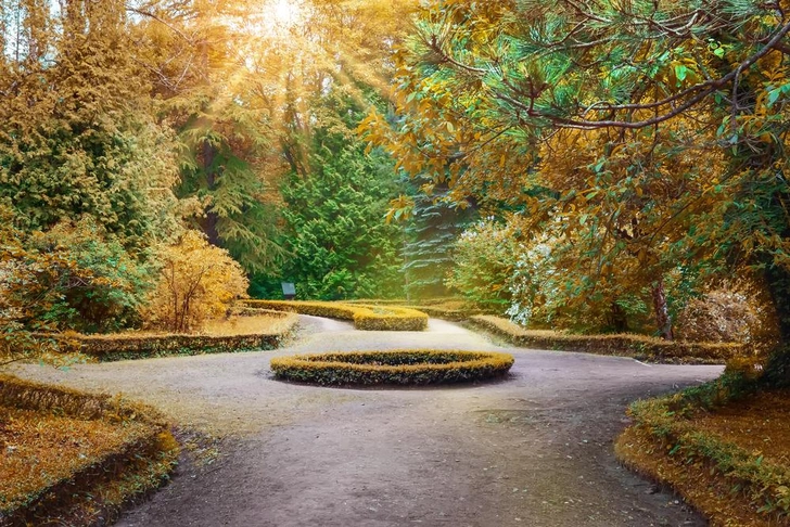 Степанаванский дендропарк | Источник: Ruslan Harutyunov/Shutterstock/Fotodom.ru