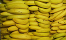Россельхознадзор: Человек не может заразиться «кровяной» болезнью бананов