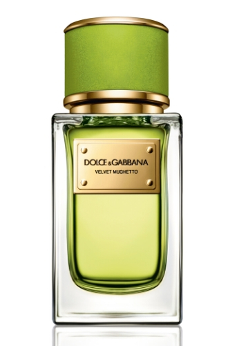 Velvet Mughetto от Dolce&Gabbana