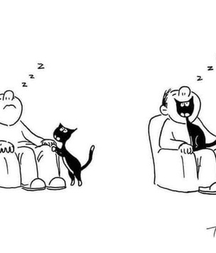 15 карикатур про котов