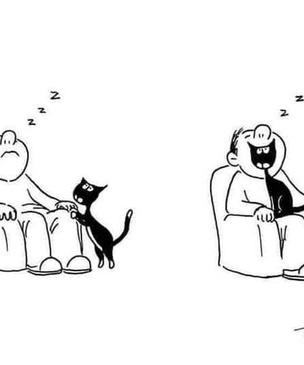 15 карикатур про котов