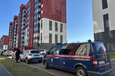 Кровный отец мальчиков из Вишневой Горки прилетит за детьми
