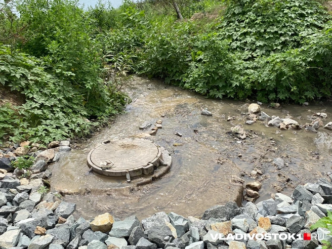 Там это происходит чаще всего | Источник: Елена Буйвол / VLADIVOSTOK1.RU