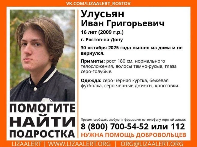 Источник: «ЛизаАлерт» Ростовской области / Telegram.org