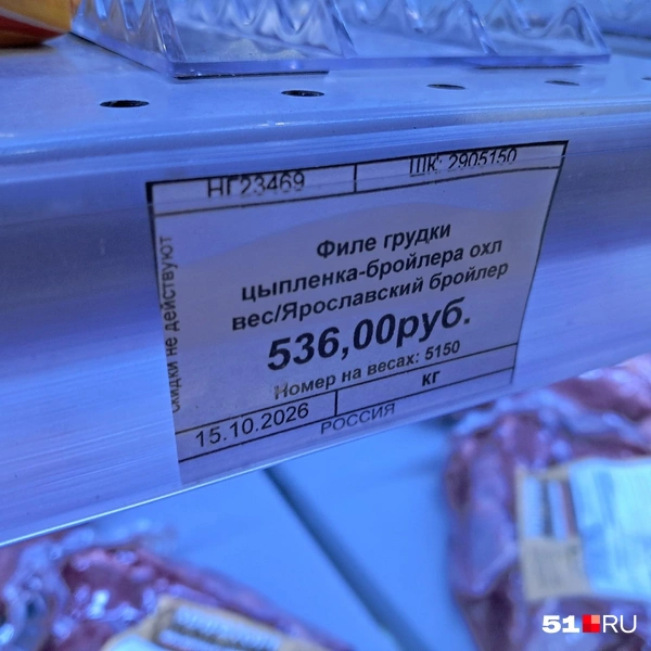 Источник: Дмитрий Артеменко / 51.RU
