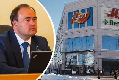 Мэр Ярославля прокомментировал жестокую драку в торговом центре