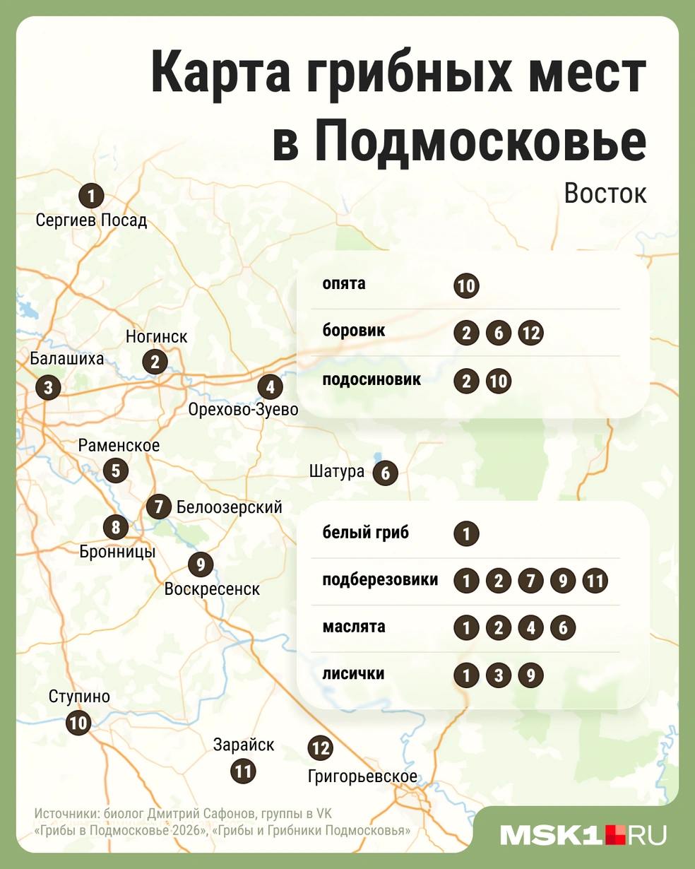 Источник: Мария Романова / Городские медиа