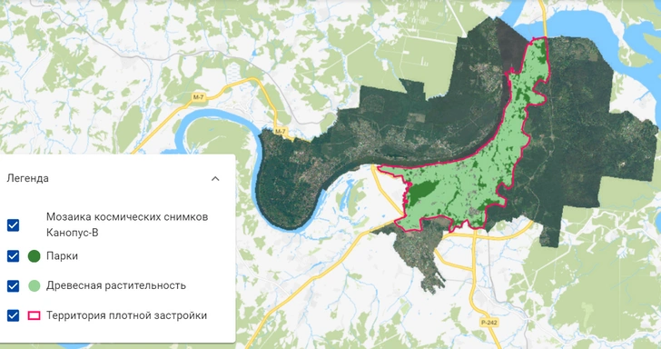 Зачем нам возвращаться «назад, к природе»: эколог назвал 5 главных причин