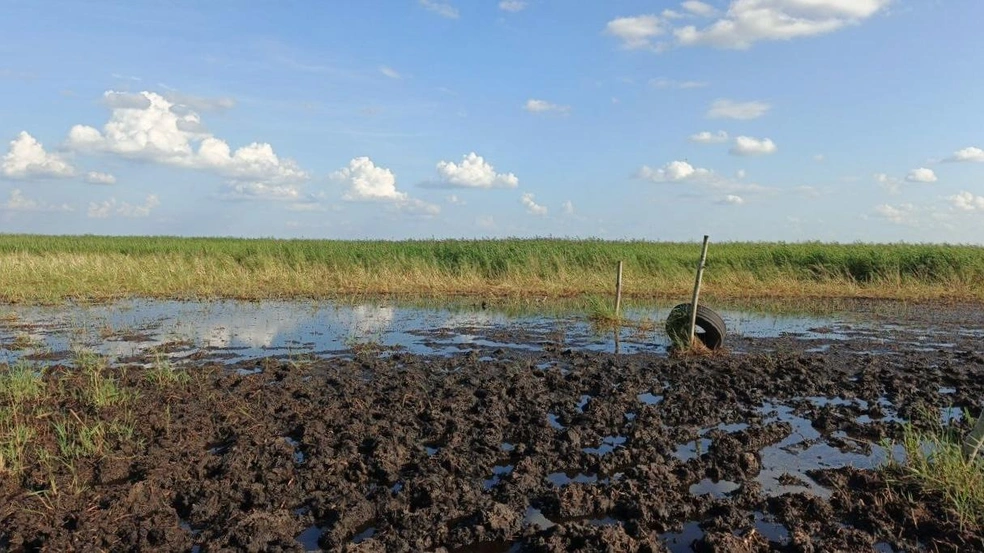 В таких условиях волонтеры несколько дней искали мужчину | Источник: Поисковый отряд «ЛизаАлерт» Тюменской области / Vk.com