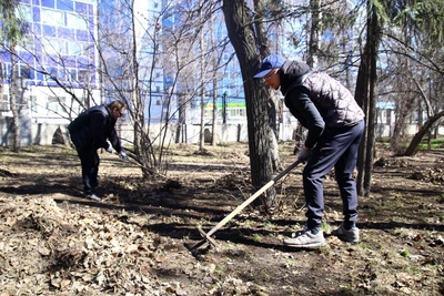 Павел Малков намерен лично убирать Рязань на субботниках
