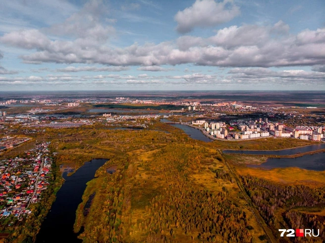 Это архивное фото, но по нему можно понять, как выглядит лес с высоты. Участок несостоявшегося дендропарка в центре слева | Источник: Семён Громов / 72.RU