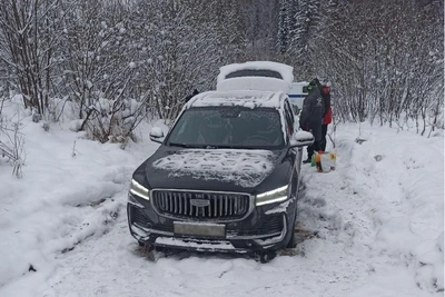 Новогоднее приключение челябинской семьи в лесу