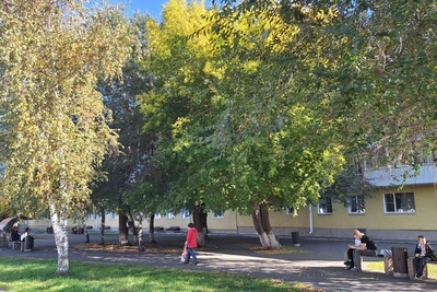 Погода в Кургане в октябре: прогнозы расходятся