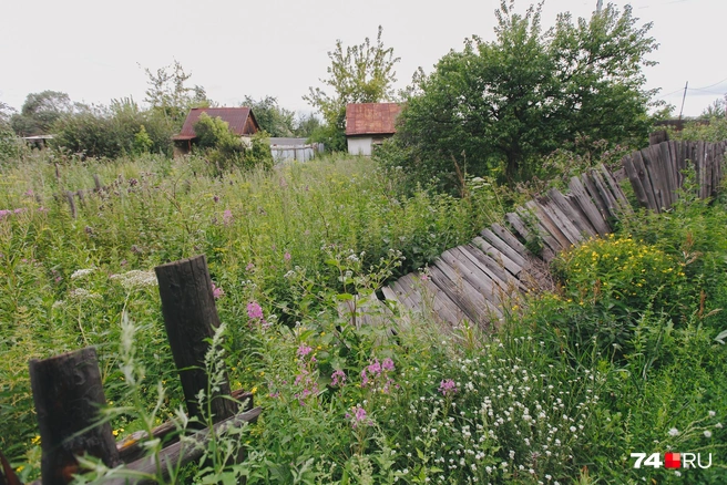 Начали действовать новые правила для дачников | Источник: Дарья Пона / 74.RU