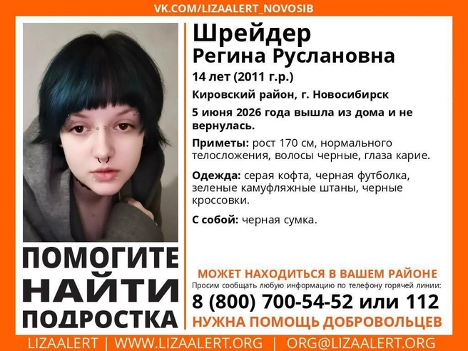 Она вышла из дома в Кировском районе и не вернулась | Источник: Поисковый отряд ЛизаАлерт Новосибирской области / vk.ru