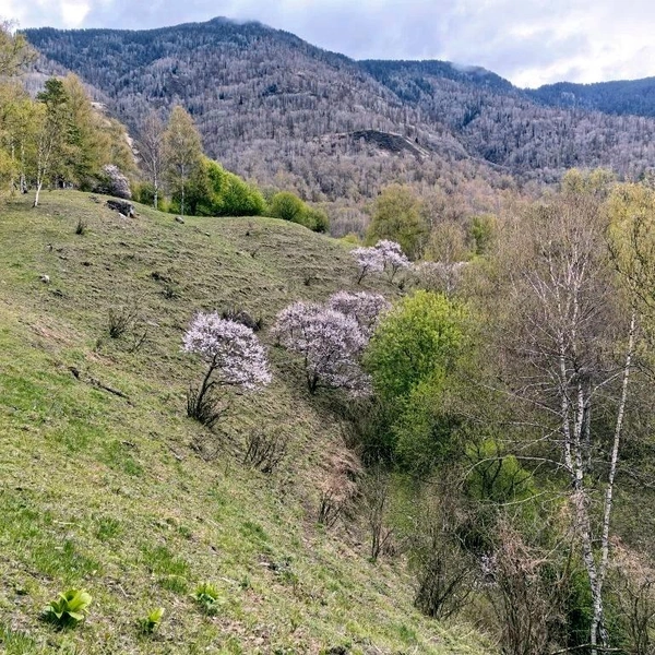 Источник: Наталья Шичкова