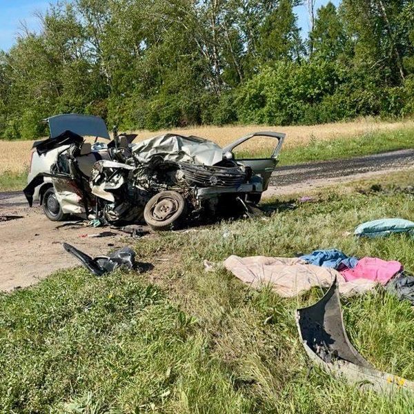 Смертельное ДТП под Пензой унесло жизни четырех человек: фото | Источник: Госавтоинспекция Пензенской области