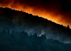 «Выгорел целый Париж»: беспрецедентные лесные пожары охватили элитный Юг Франции в разгар курортного сезона
