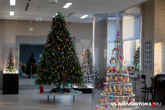 Источник: Елена Буйвол / VLADIVOSTOK1.RU