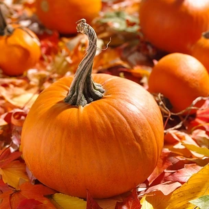 Королева Хэллоуина: 7 интересных фактов и 3 полезных рецепта из тыквы