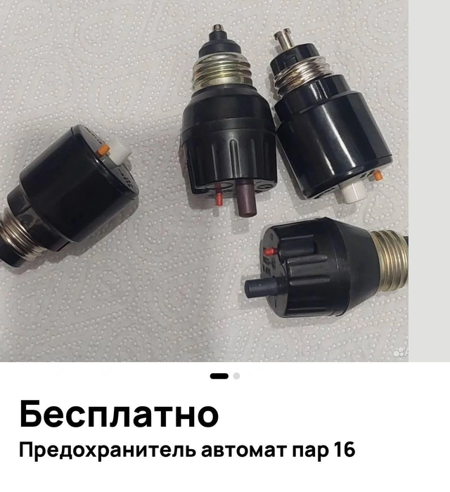 Источник: Отдам даром | Мурманск / Vk.com, avito.ru
