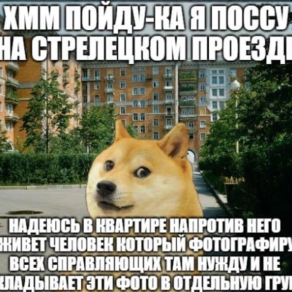 Очень быстро сообщество обросло своими мемами | Источник: «Люди которые ссут на Стрелецком» / Vk.com