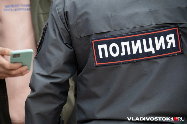 Прохожие вызвали полицию | Источник: Елена Буйвол / VLADIVOSTOK1.RU