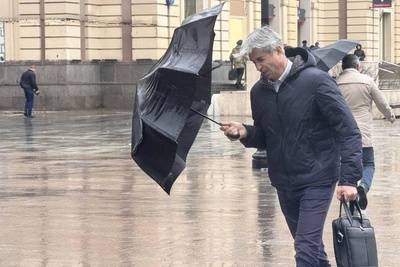 Москва в ледяном дожде: как переживают непогоду