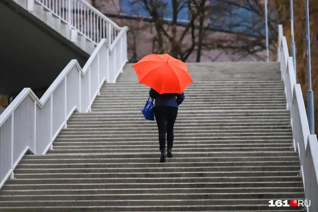 В Ростове осадков не ожидается | Источник: Евгений Вдовин / 161.RU