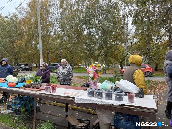 Здесь продают всё: от редьки до черноплодной рябины и тыкв | Источник: Полина Шевчукова / NGS22.RU