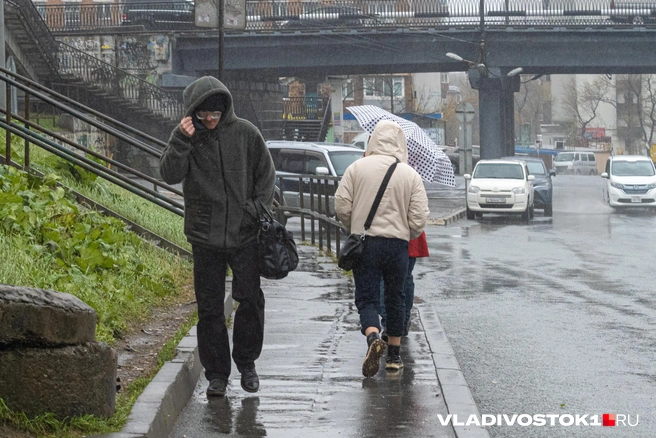 Непогода ожидается завтра, 23 мая | Источник: Елена Буйвол / VLADIVOSTOK1.RU