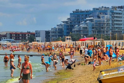 Купаются в зеленой воде: обстановка на пляжах Анапы