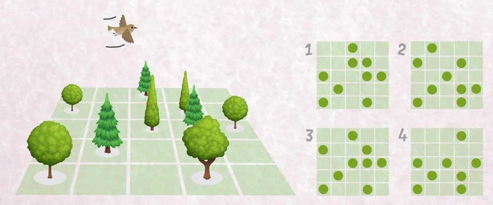 Мини-тест на пространственное мышление: посмотрите на картинку 25 секунд и расставьте деревья