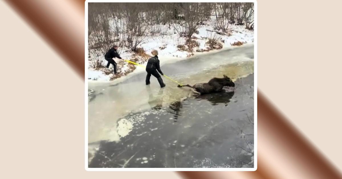 Удивительное спасение людей