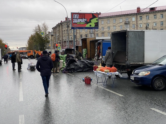 Первые покупатели появились на ярмарке за час до открытия | Источник: Стас Соколов / NGS.RU