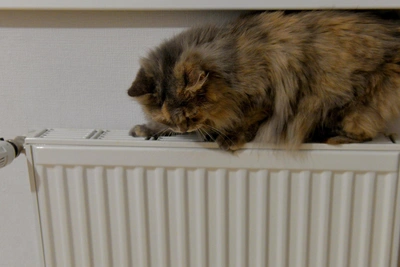 Don Region: Accident, Cold, Parking Changes January 21