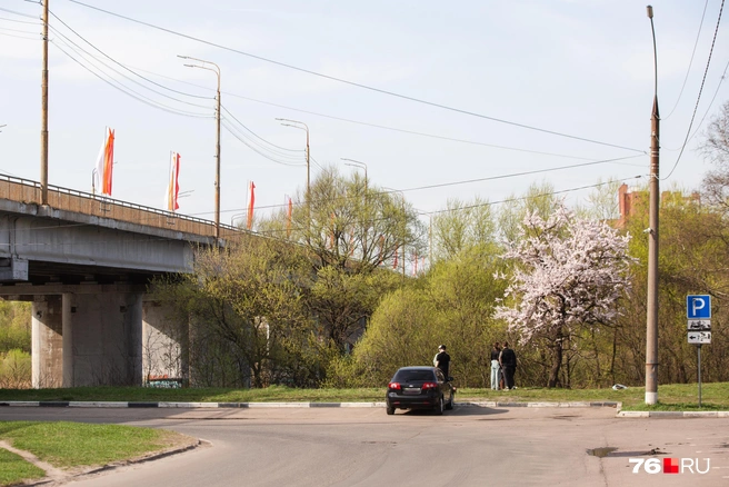 Вторая локация находится вблизи Толбухинского моста | Источник: Кирилл Поверинов / 76.RU