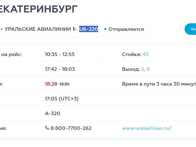 Рейс отменили | Источник: читатель E1.RU