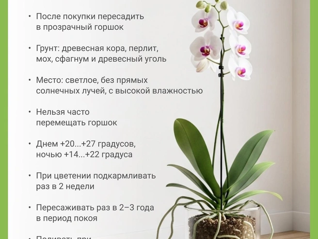 Источник: Юрий Орлов / Городские медиа