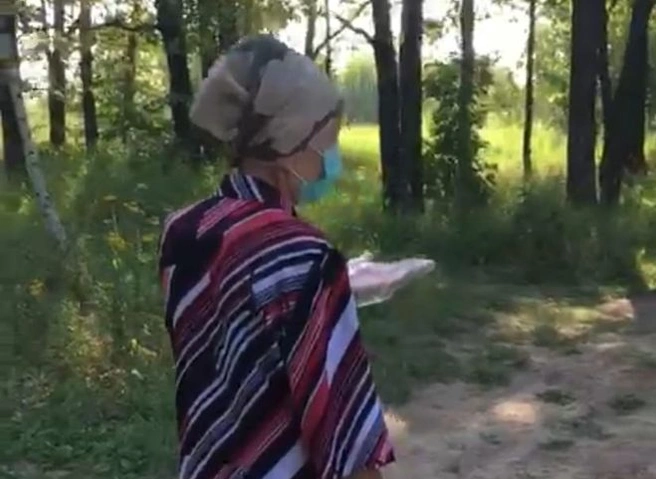 Рязанцы сообщили о появлении догхантера в Дашково-Песочне | ya62.ru