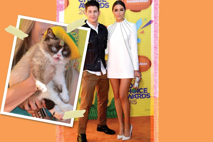 Ник Джонас, Оливия Калпо, Grumpy Cat | Источник: gettyimages.com