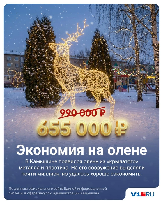 Источник: Полина Авдошина / V1.RU