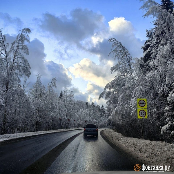 Источник: читатель «Фонтанки»