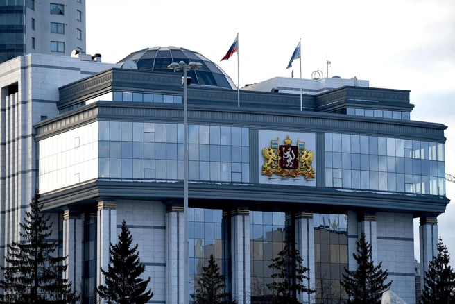 Кроме законотворческой деятельности, члены заксобрания ведут работу с обращениями граждан | Источник: Артём Устюжанин / E1.RU
