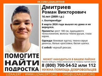 Ориентировка на Романа | Источник: «ЛизаАлерт»