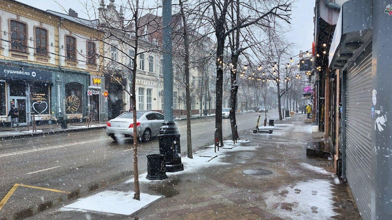 Деревья и тротуары сейчас припорошены снегом, а год назад всё было иначе | Источник: Екатерина Железнова / 93.RU